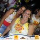 Bloco Skol Folia